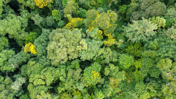 Comment valoriser votre expérience en tant que bénévole lors d'une recherche d'emploi dans le secteur de l'humanitaire ?