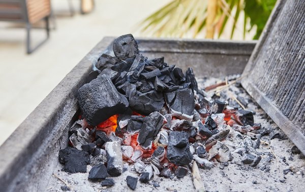 Astuces pour allumer rapidement votre barbecue