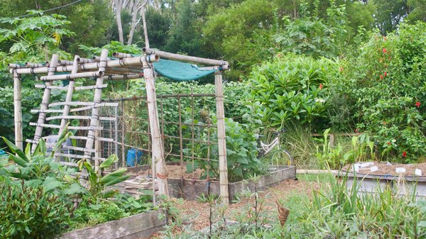 Comment les techniques de permaculture sont-elles représentées dans l'art contemporain ?